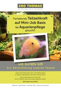 Teilzeitkraft für Aquariumpflege gesucht!